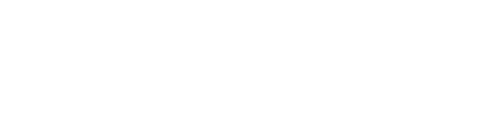 Solutica